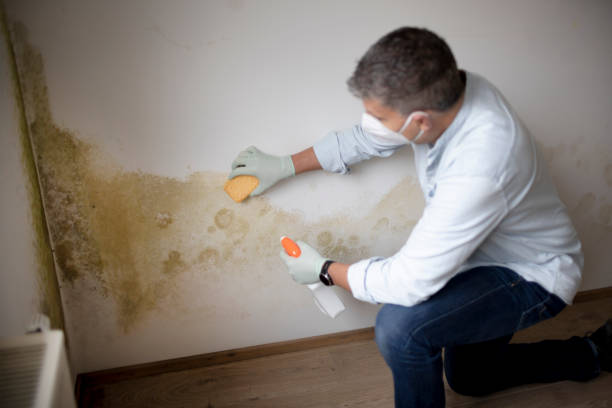 Coldstream, KY Mold Removal Company