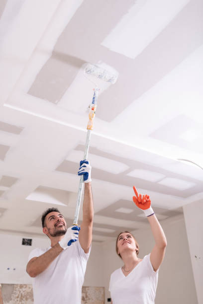 Best Mold Odor Removal Services  in Coldstream, KY