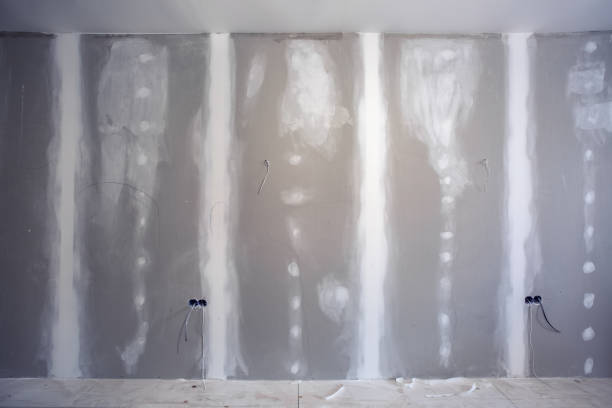 Best Mold Damage Restoration  in Coldstream, KY